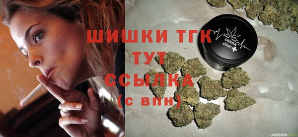 дмт Богородск