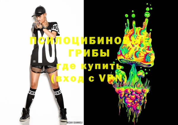 дмт Богородск
