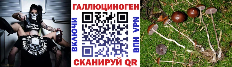Галлюциногенные грибы мухоморы  купить  цена  Нарьян-Мар 